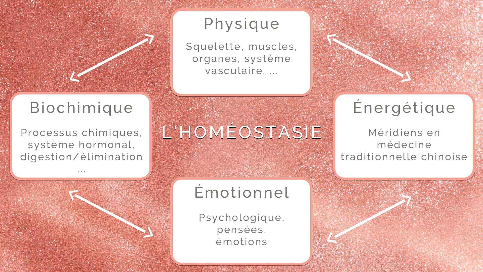 L-HOMEOSTASIE